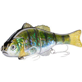 Fishing Lures